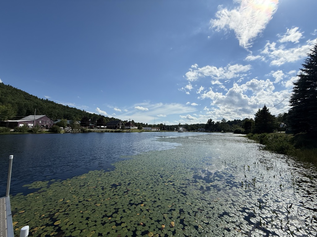 Mill Pond