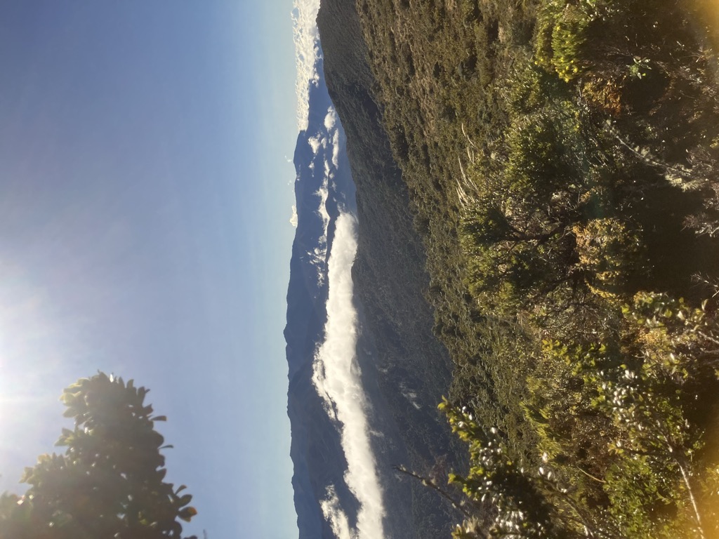 Cerros Cuericí (Cerro Chirripocito)