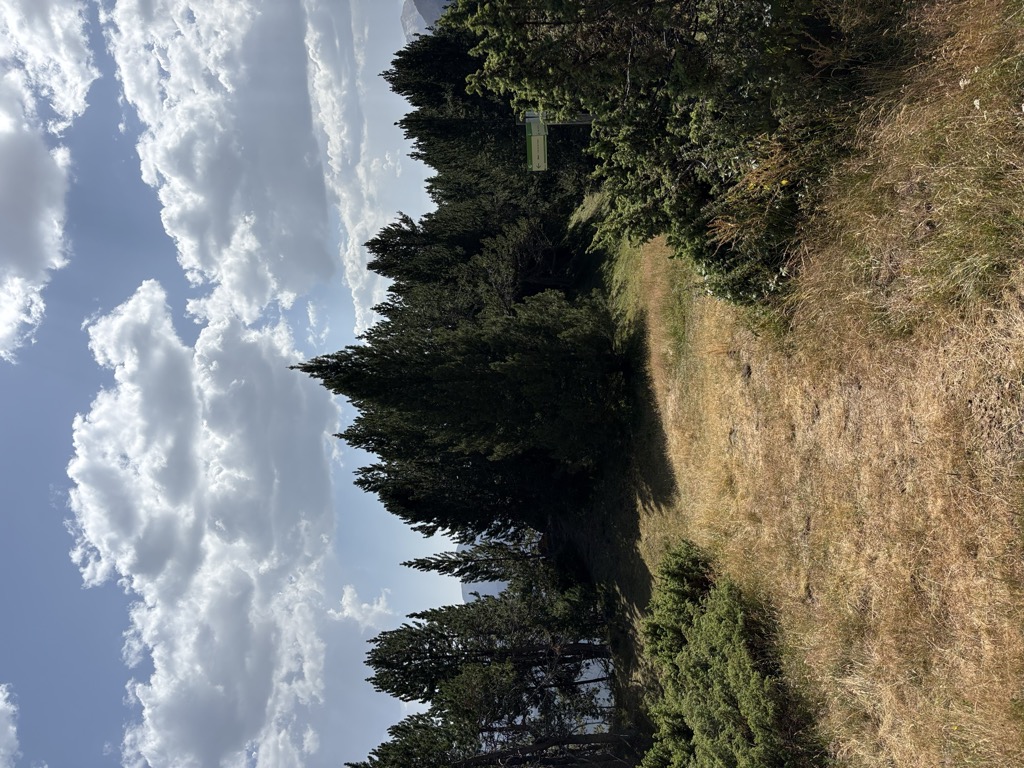 Cap del Solà de les Comes