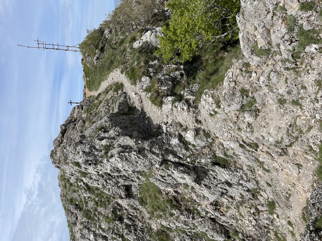 Monte San Michele (Molare)