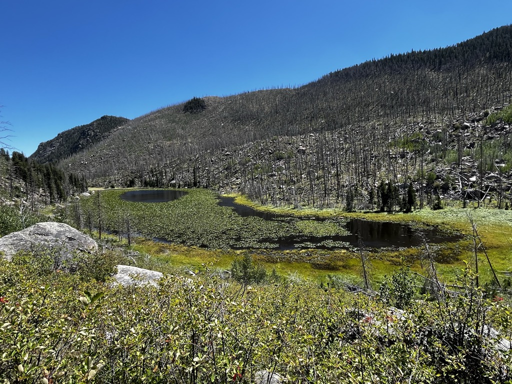 Cub Lake
