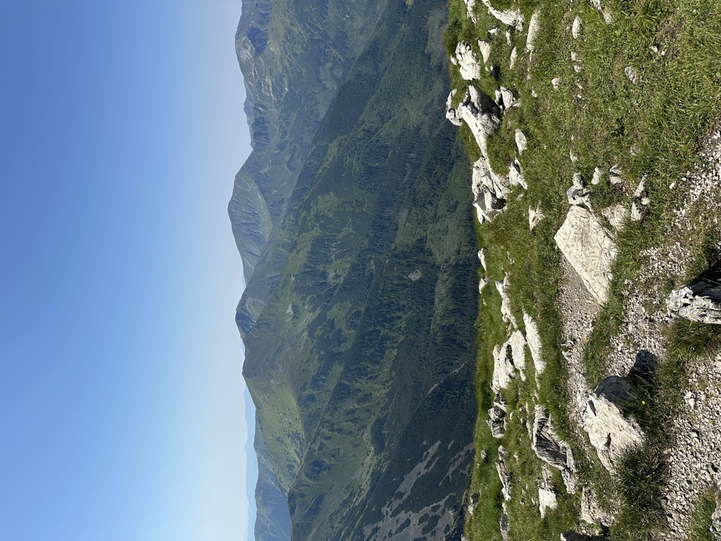 Temniak