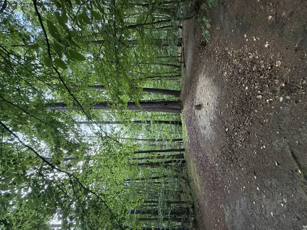 Głowica