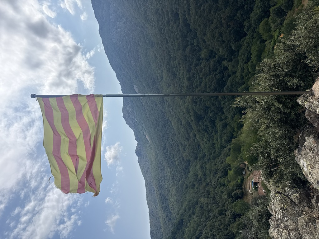Guillem Verdaguer López