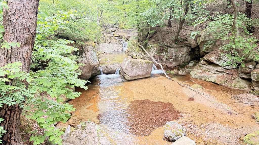 Mogyogso Pond