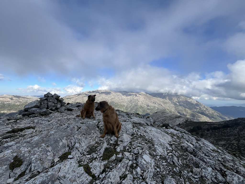 Cerro Alcojada