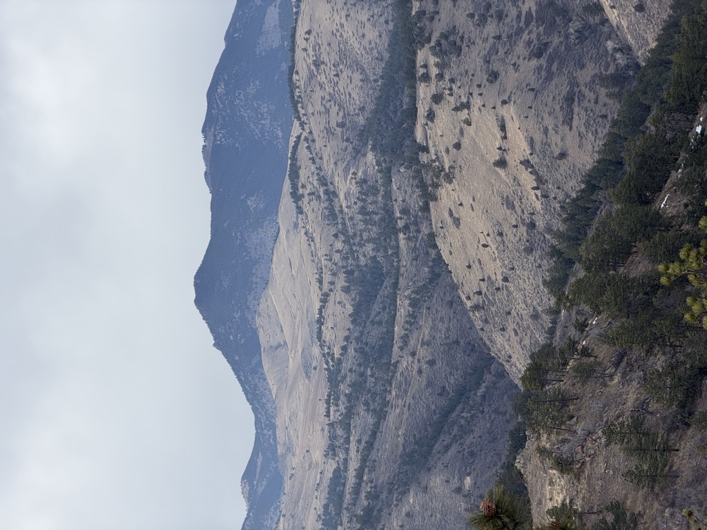 Mount Galbraith