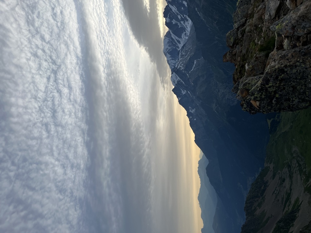Tête de la Cicle