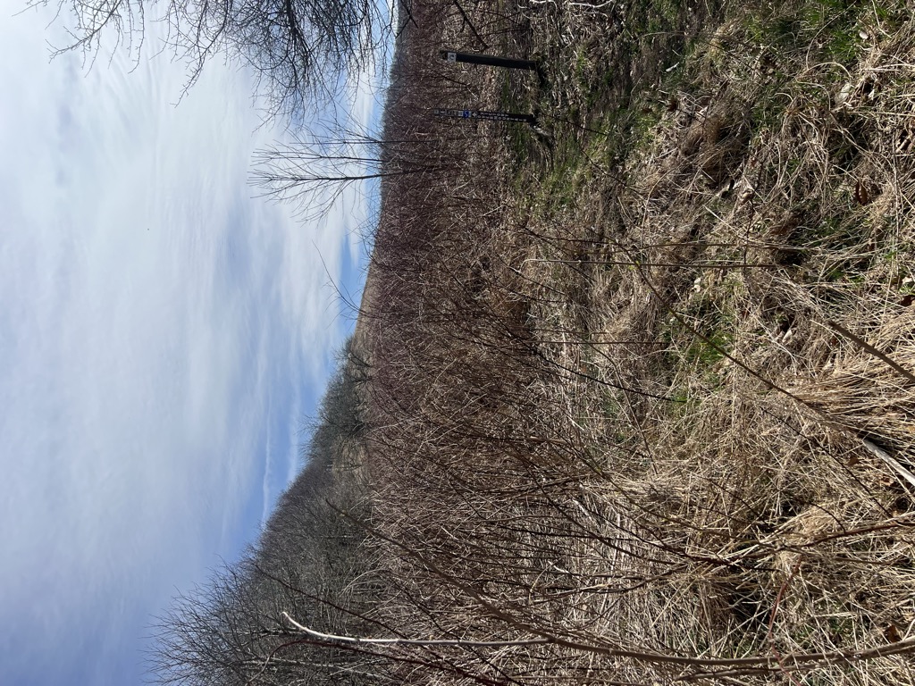 Yellow Mountain Gap