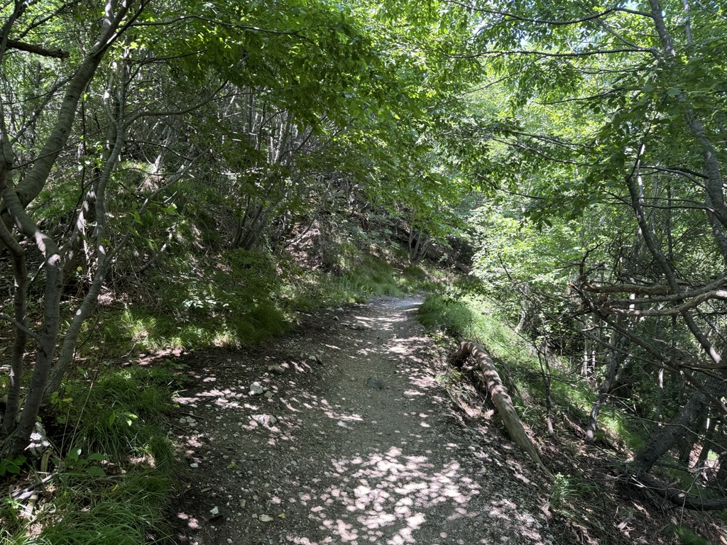 Punta Larici