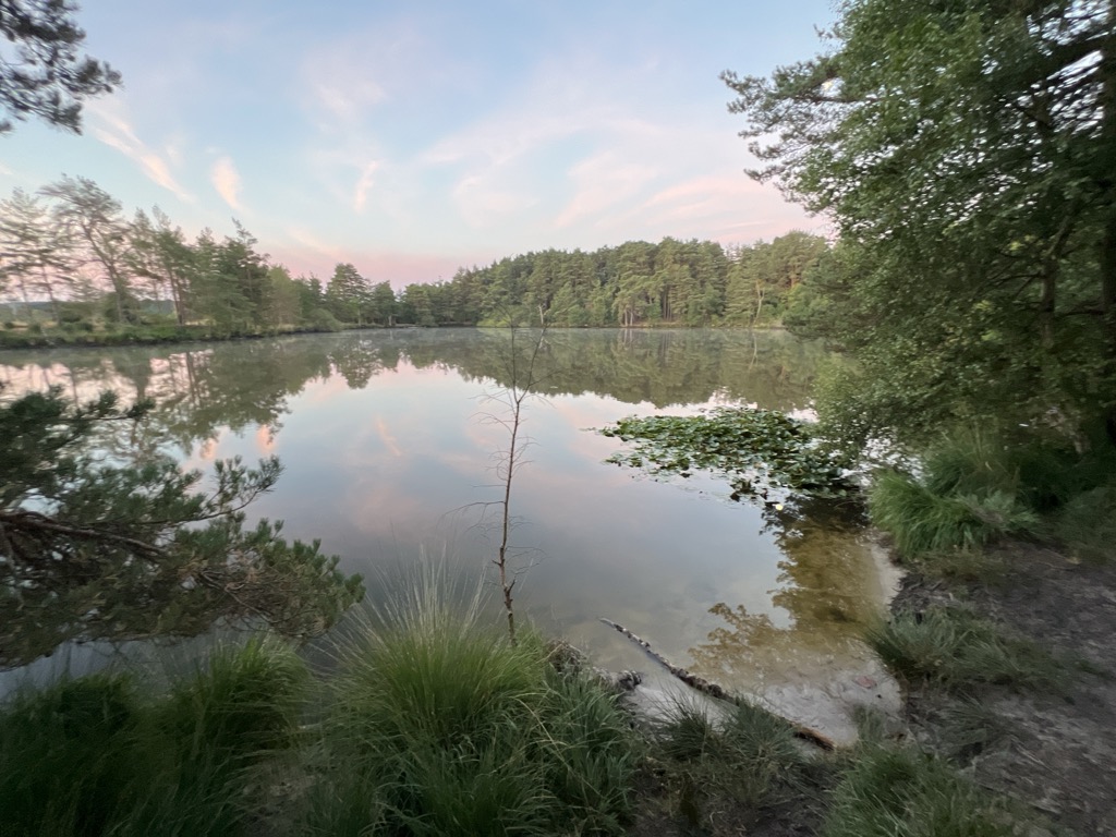 The Moat