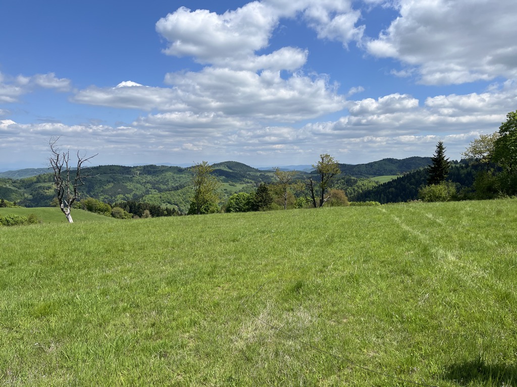 Gulhov