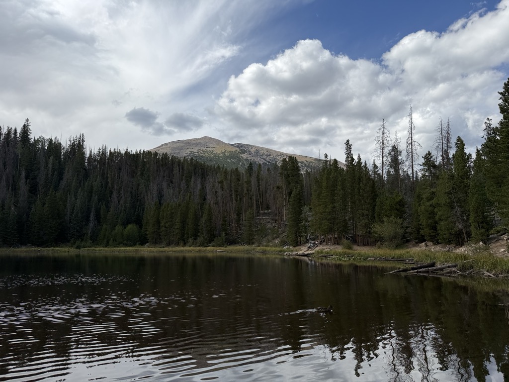 Lily Pad Lake