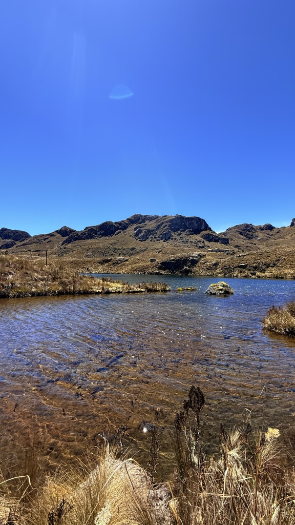 Marmolcocha