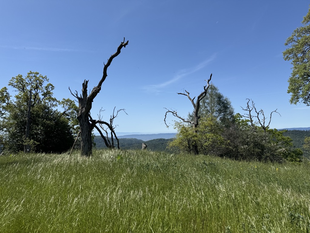 Mount Sizer