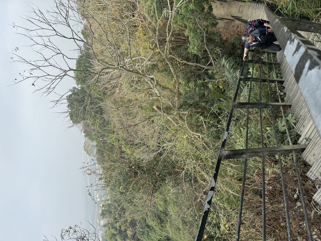 Linneishan