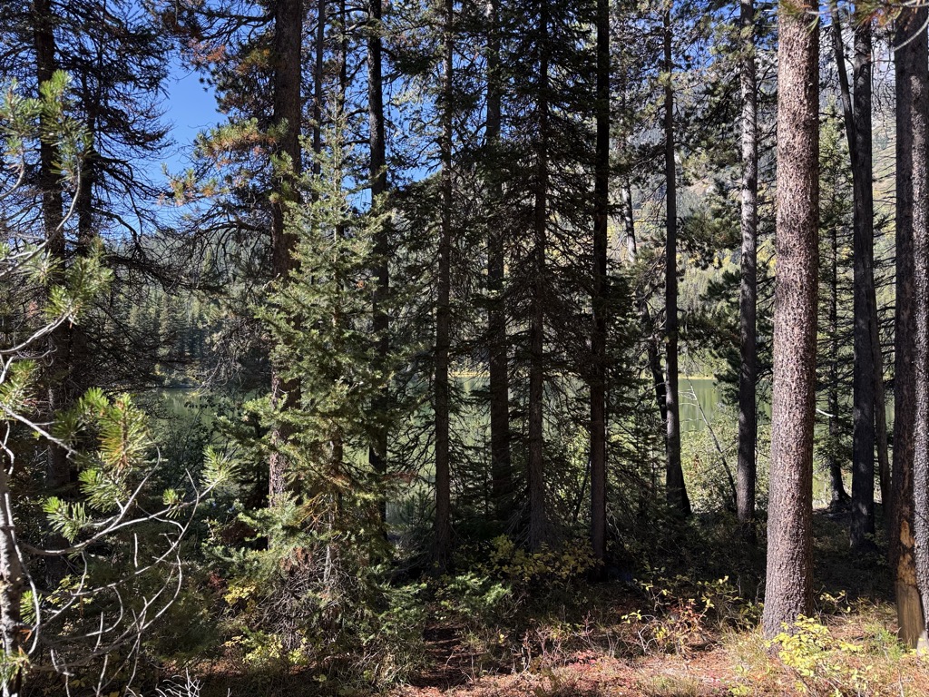 Bearpaw Lake