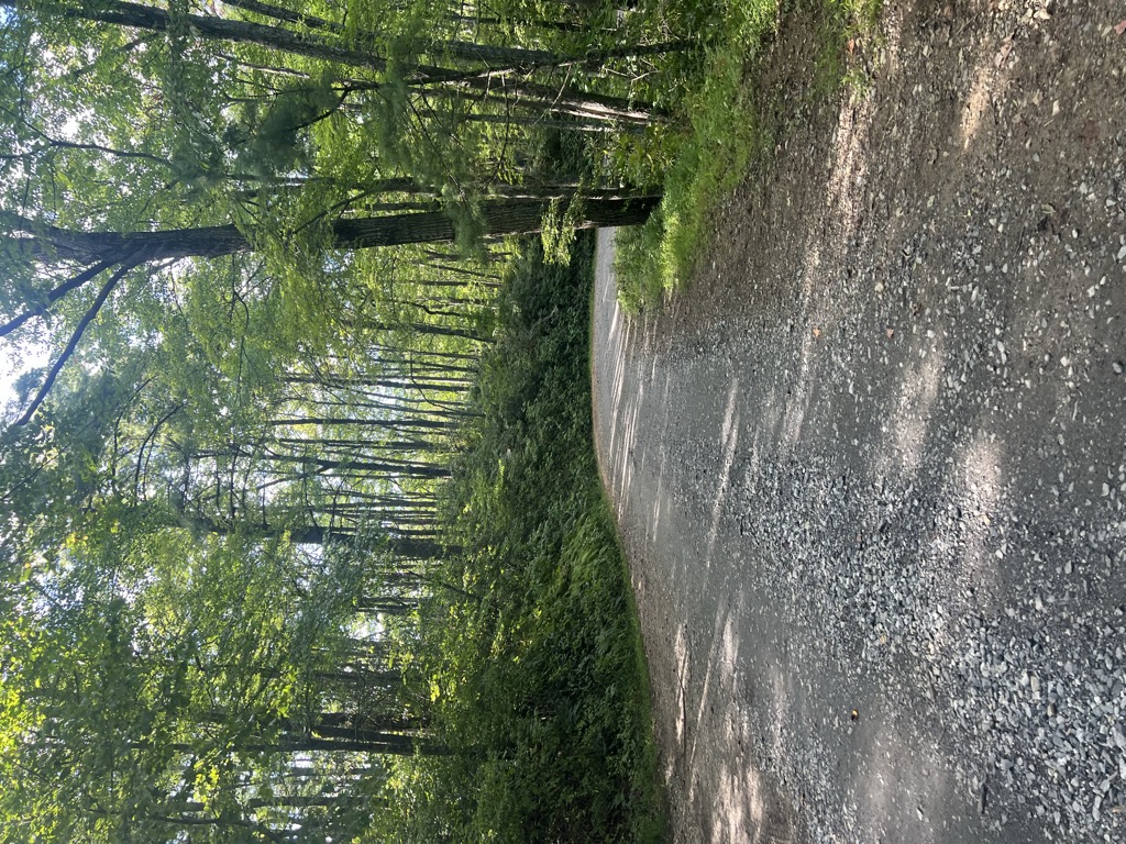 Hurricane Gap