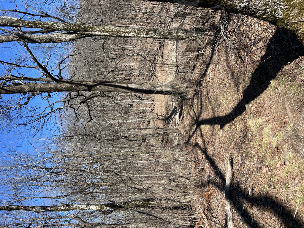 Nimblewill Gap