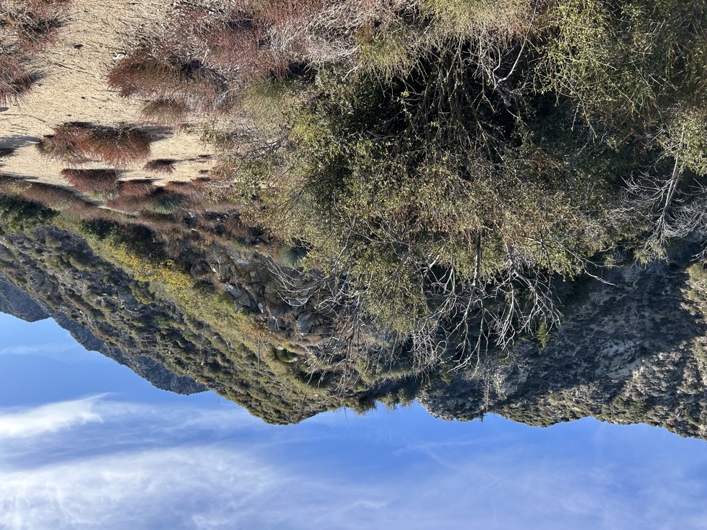 Josephine Saddle