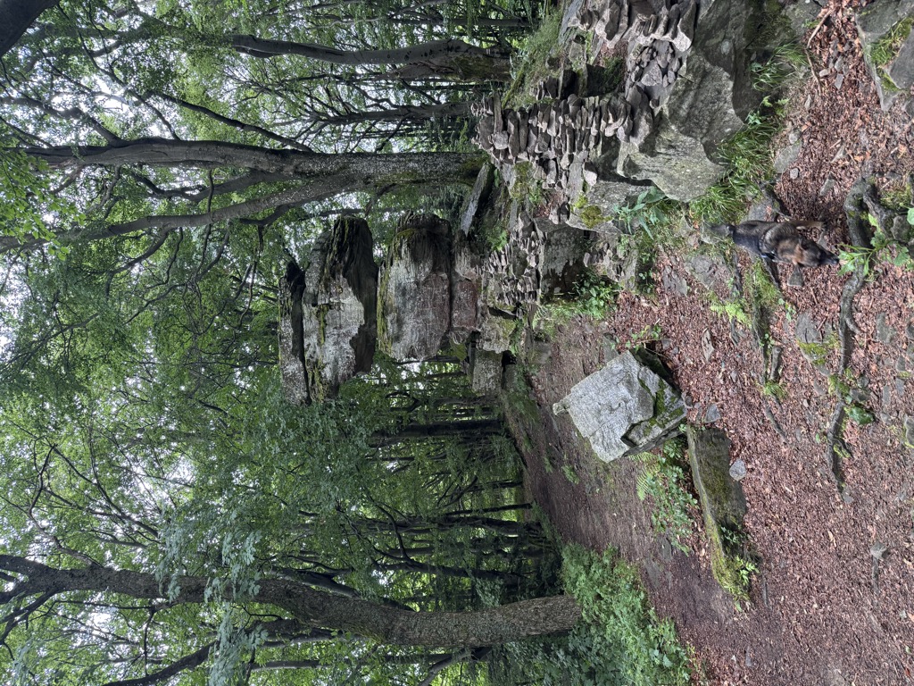 Jaworzyna Krynicka
