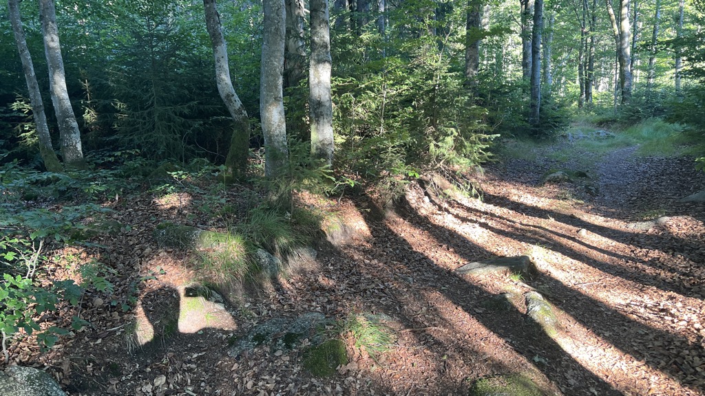 Studničná / Brunnauberg