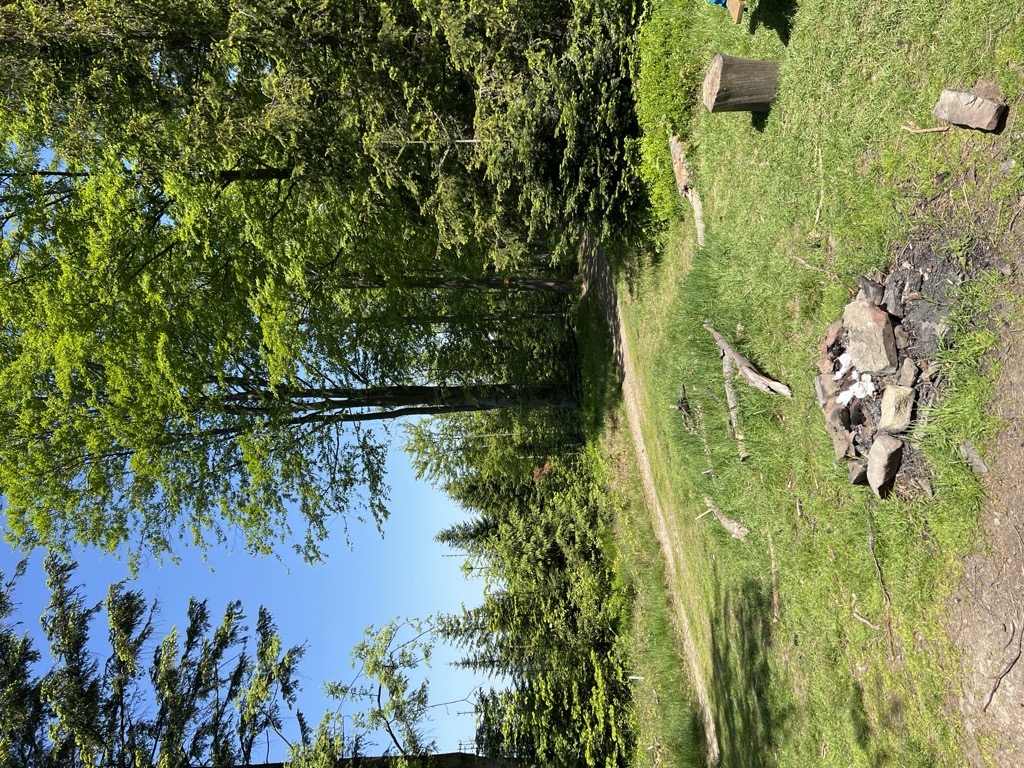 Kocierz
