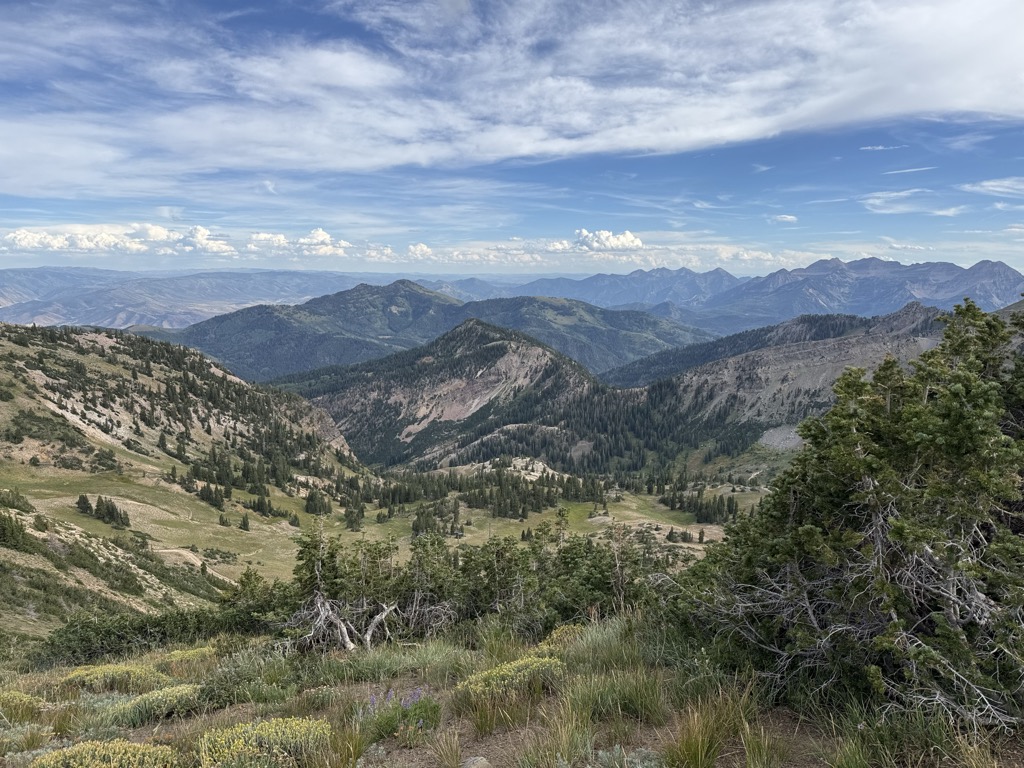 Mount Baldy