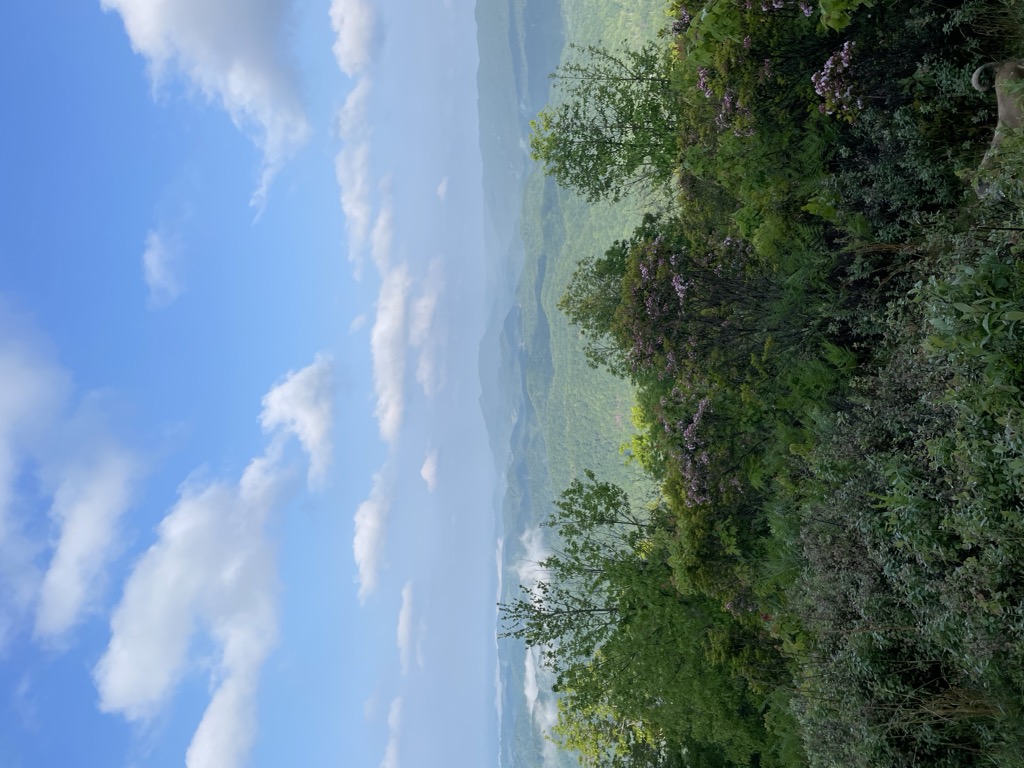 Mollys Knob
