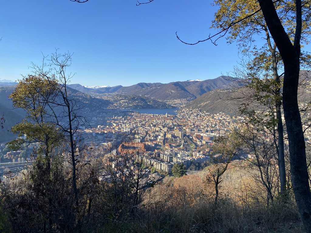 Monte Goj