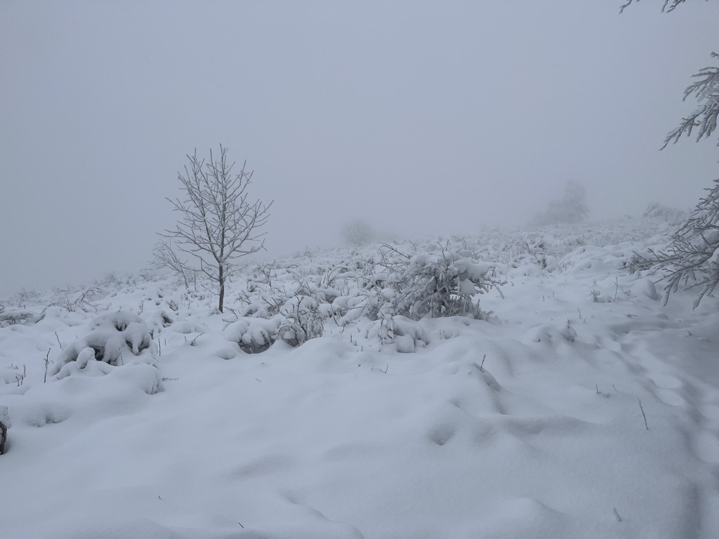 Monte Secchieta