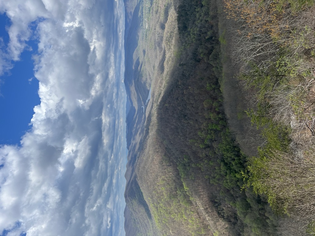 The Pinnacle