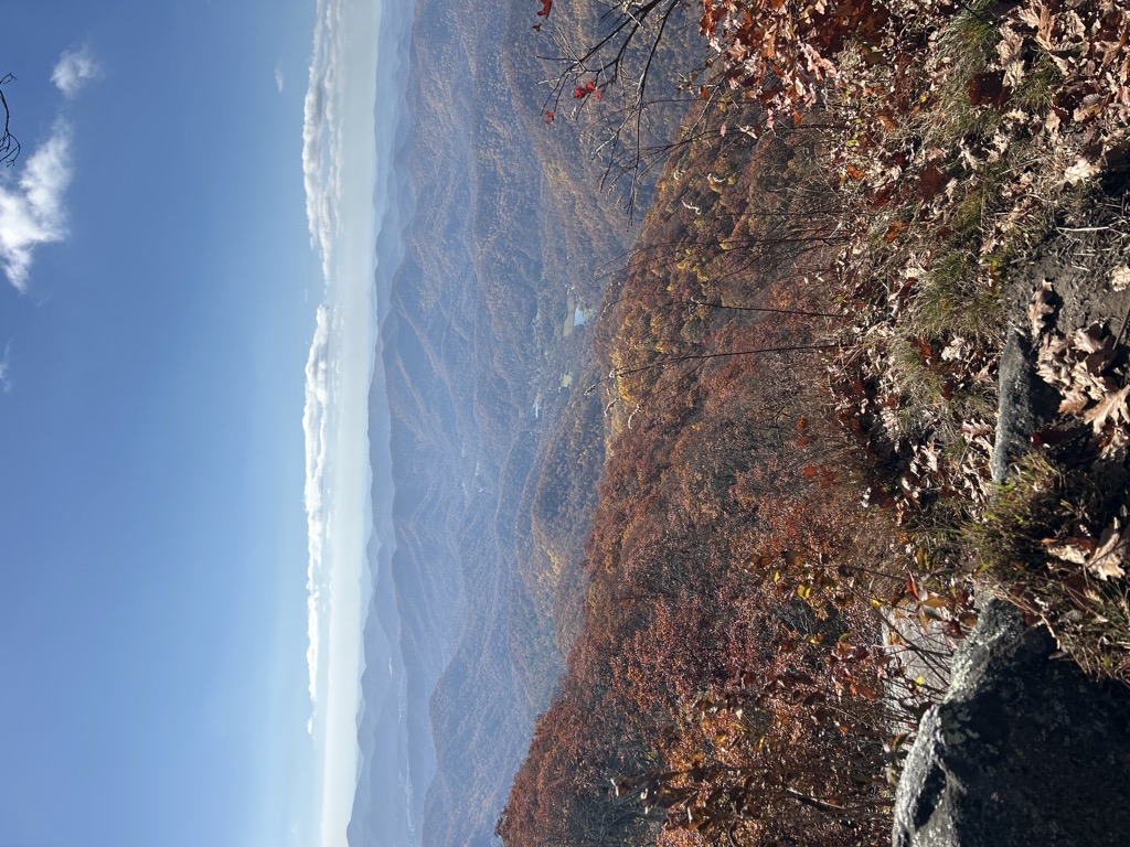 Pickens Nose