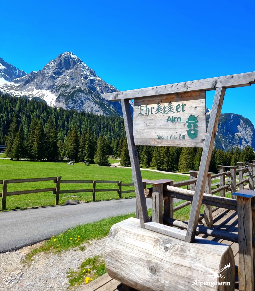 Alpengeierin Janet