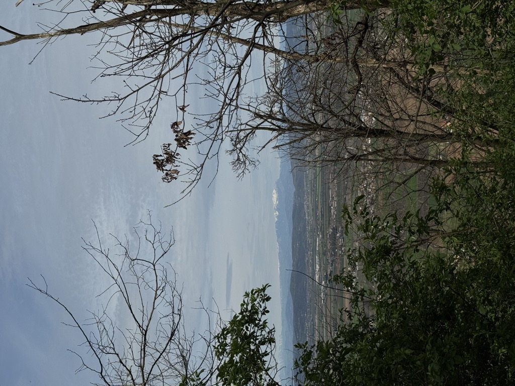 Monte Lozzo