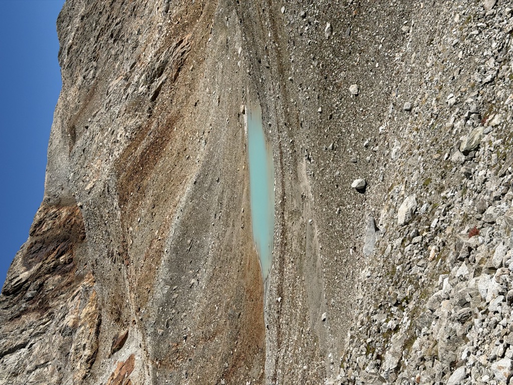 Ibons Bllancos de Lliterola