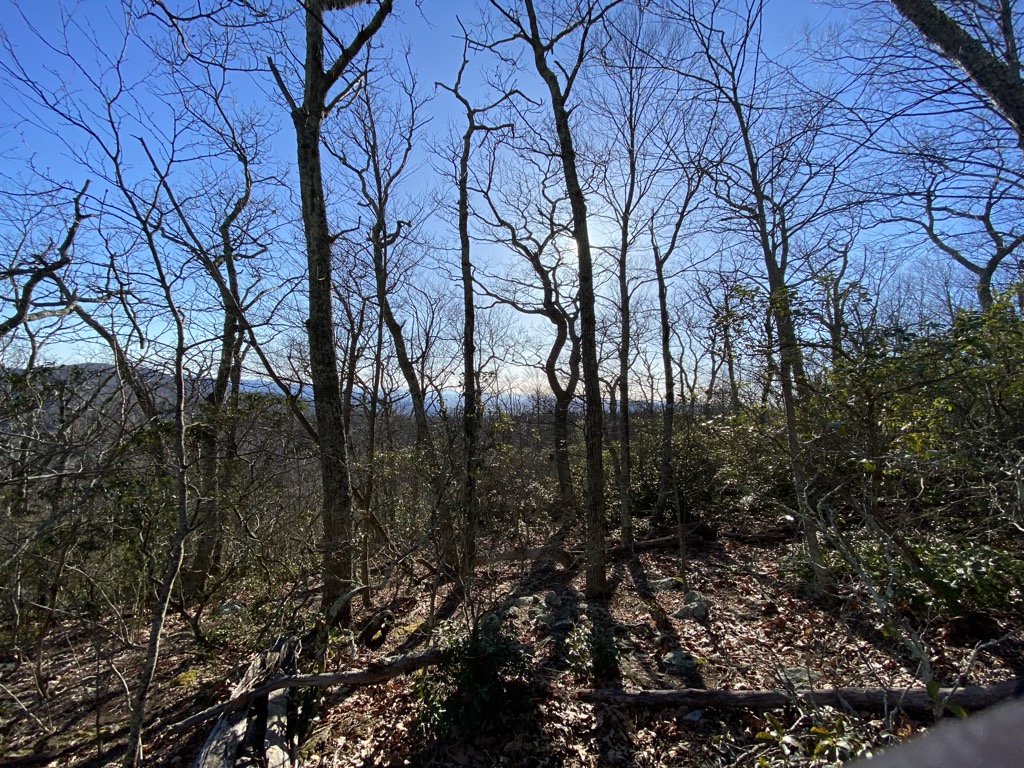 Lewis Mountain