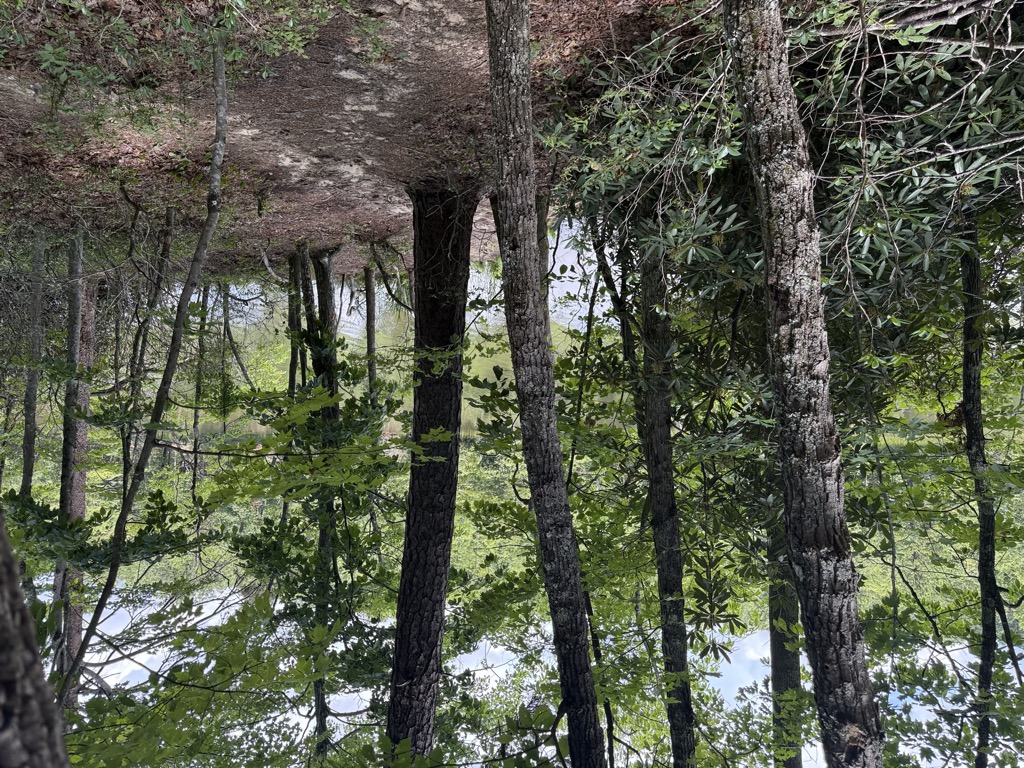 Hanging Rock Park Lake