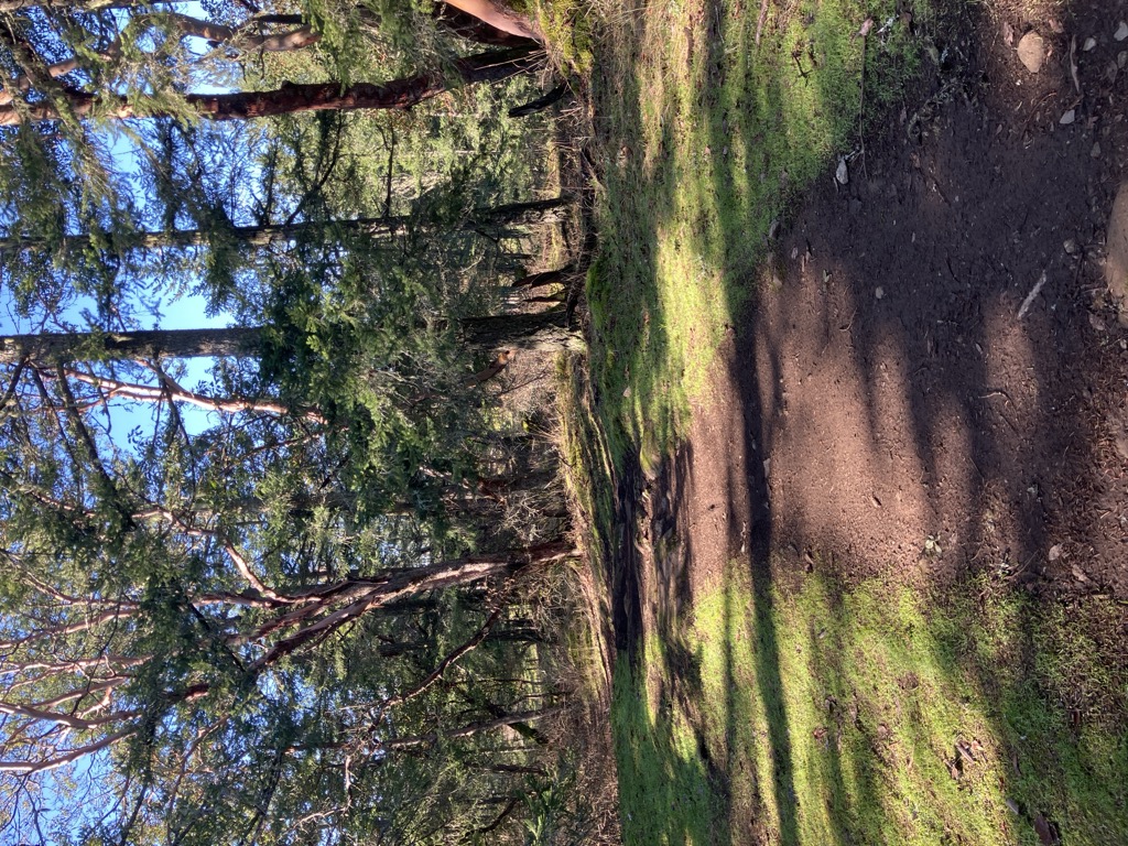 Partridge Hills