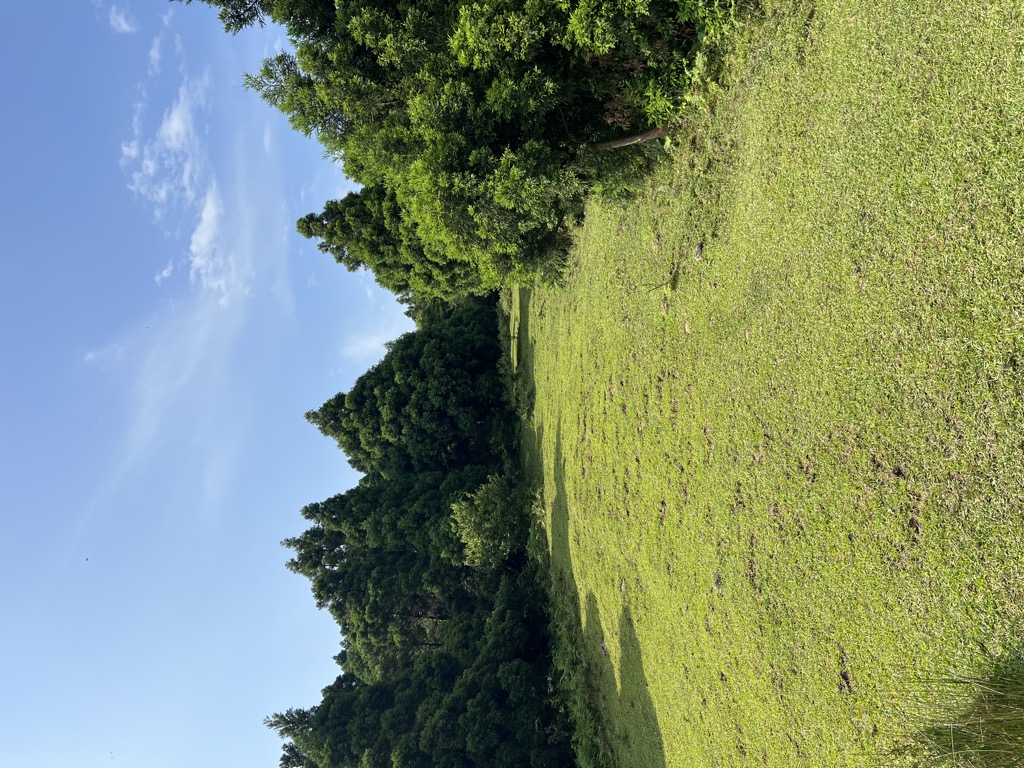 Mt. Xinglin