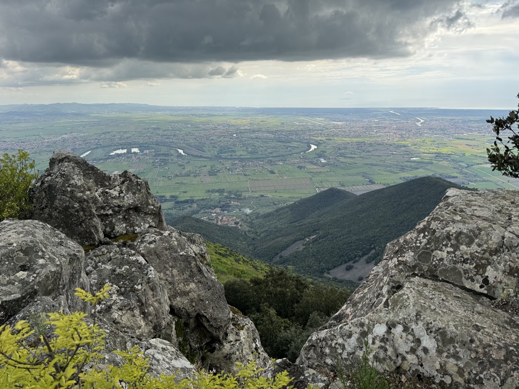Verruchino