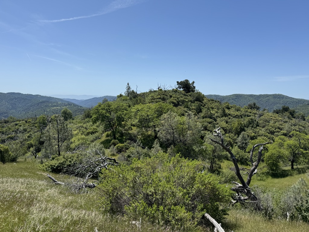 Blue Ridge