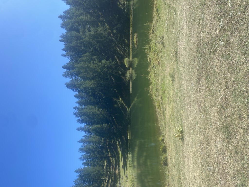Lago di Laune