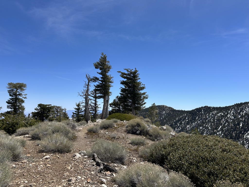 Bighorn Peak