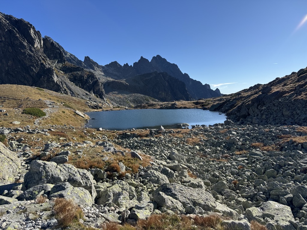 Starolesnianske pleso