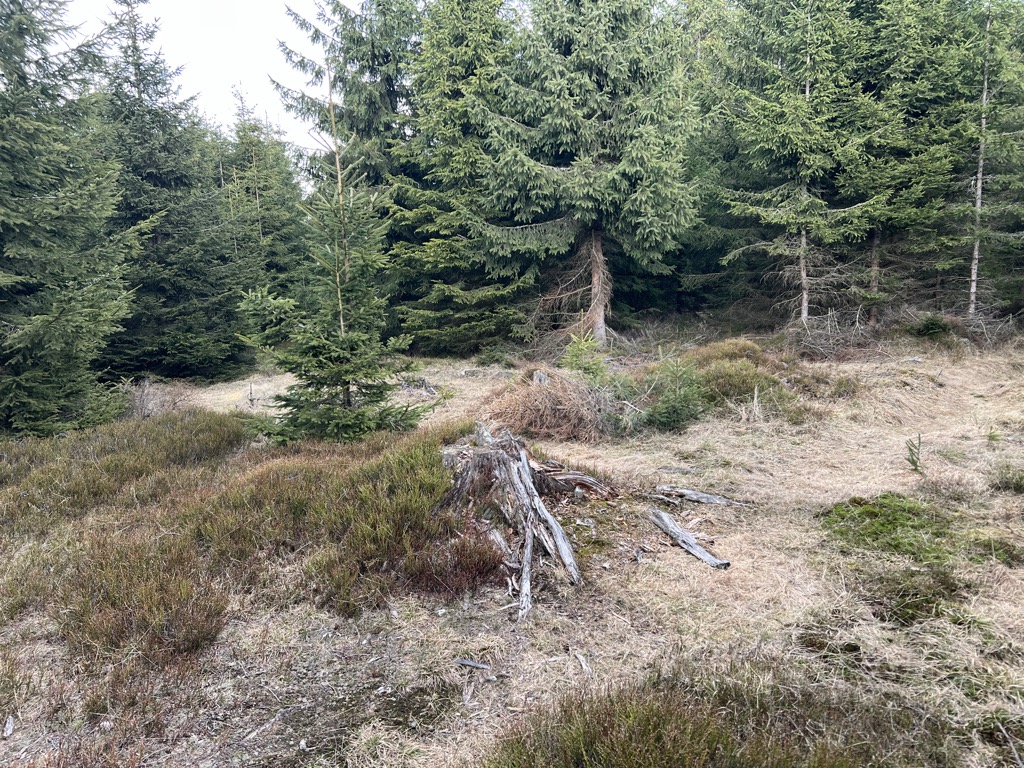 Růžový vrch