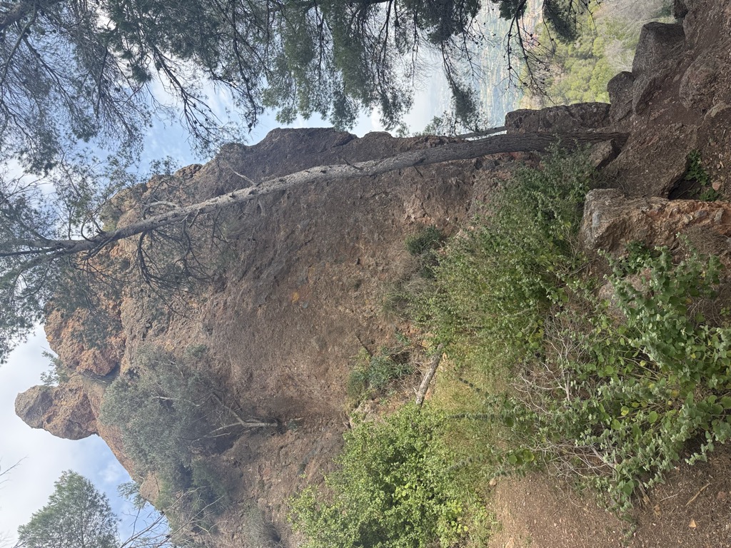 La Panocha