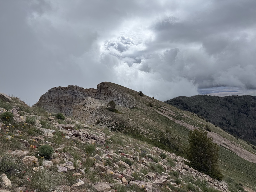 East Deseret Peak