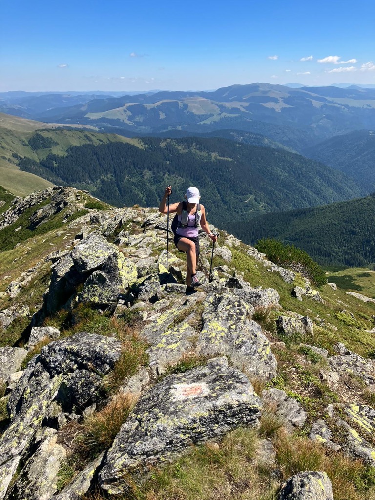 Ineuț