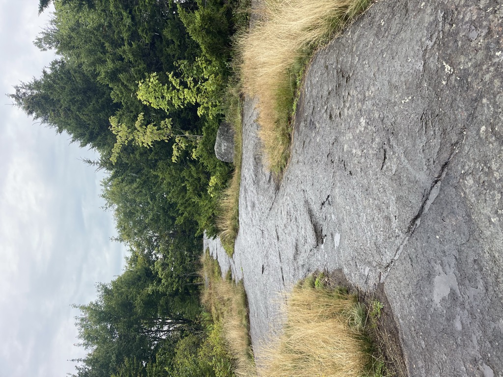 Panther Mountain
